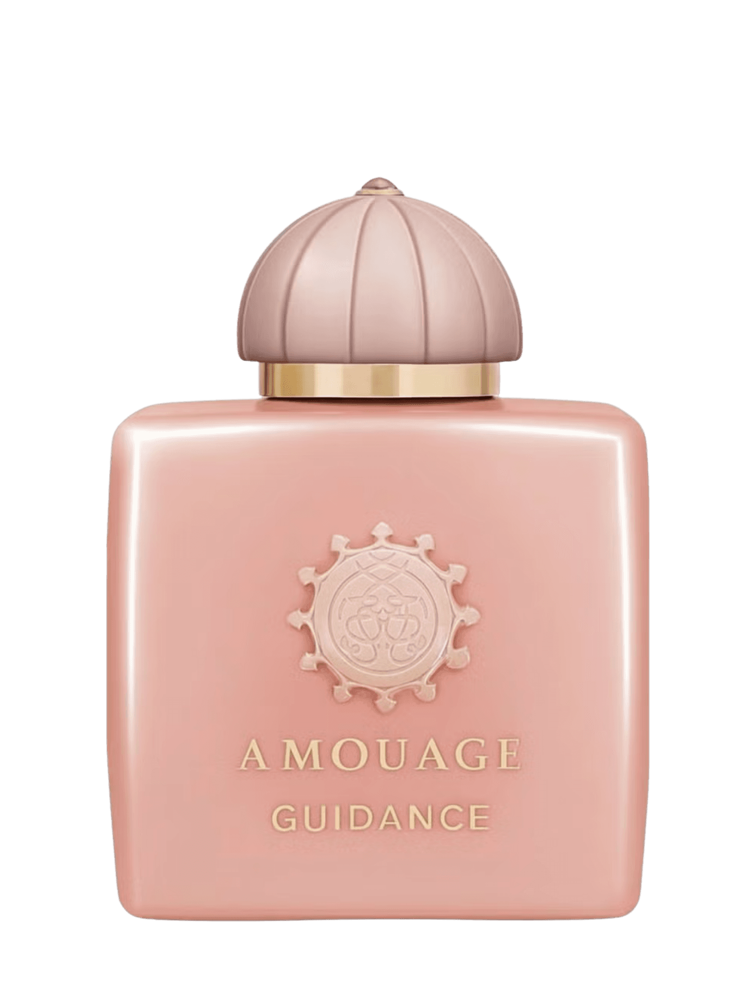 Amouage Guidance fragrance bottle image
