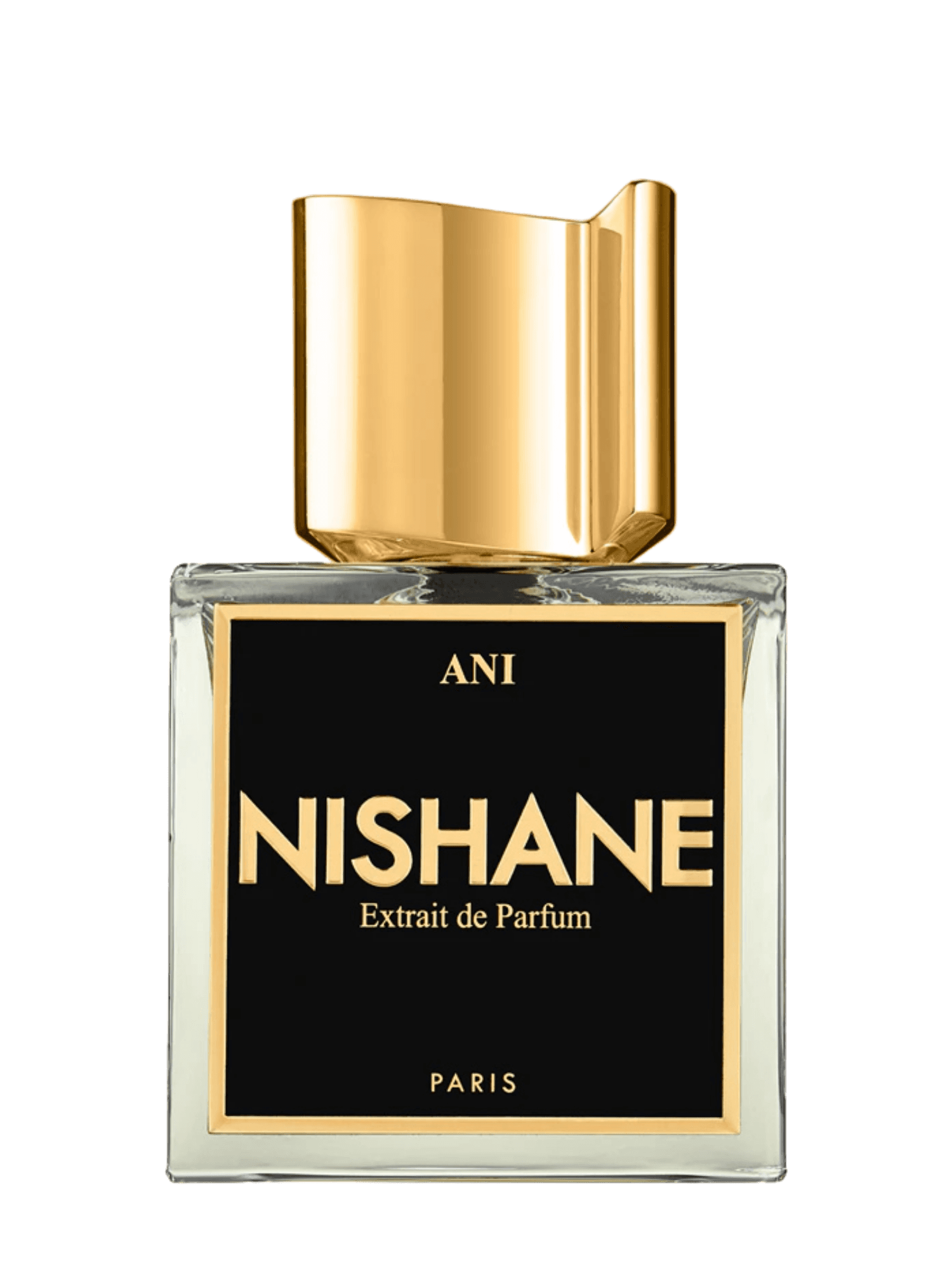 Nishane Ani fragrance bottle image